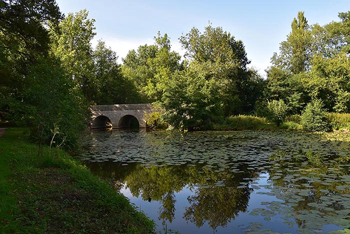 20230808_Parc_de_la_Boulogne_Les_Lucs_sur_Boulogne_OTVB_17_light_4.jpg